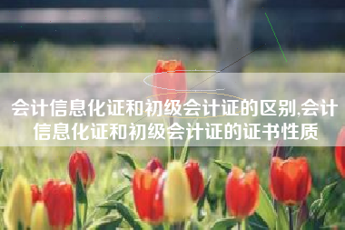会计信息化证和初级会计证的区别,会计信息化证和初级会计证的证书性质