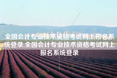 全国会计专业技术资格考试网上报名系统登录,全国会计专业技术资格考试网上报名系统登录