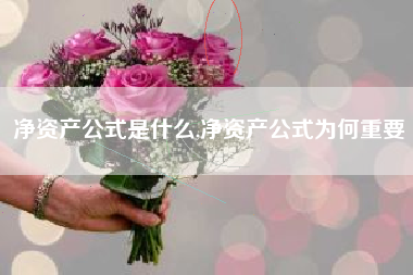 净资产公式是什么,净资产公式为何重要