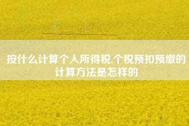 按什么计算个人所得税,个税预扣预缴的计算方法是怎样的