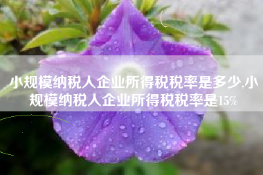 小规模纳税人企业所得税税率是多少,小规模纳税人企业所得税税率是15%
