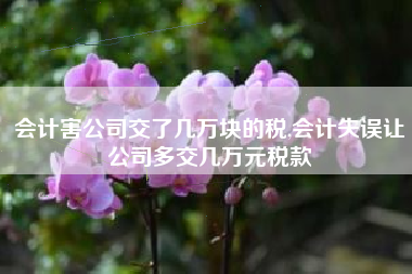 会计害公司交了几万块的税,会计失误让公司多交几万元税款