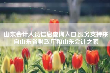 山东会计人员信息查询入口,服务支持来自山东省财政厅和山东会计之家