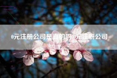 0元注册公司是真的吗,0元注册公司