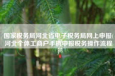 国家税务局河北省电子税务局网上申报(河北个体工商户手机申报税务操作流程
)