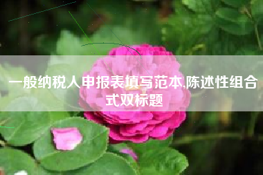 一般纳税人申报表填写范本,陈述性组合式双标题