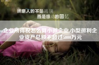 企业所得税怎么算小微企业,小型微利企业资产总额不超过5000万元