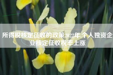 所得税核定征收的政策2022年,个人独资企业核定征收税率上涨