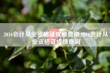2016会计从业资格证成绩查询,2016会计从业资格证成绩查询