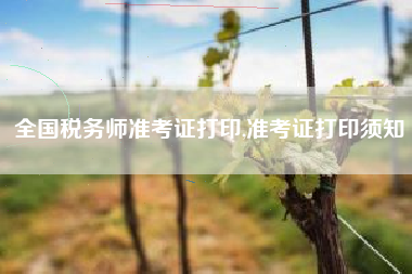 全国税务师准考证打印,准考证打印须知