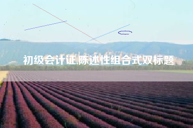 初级会计证,陈述性组合式双标题