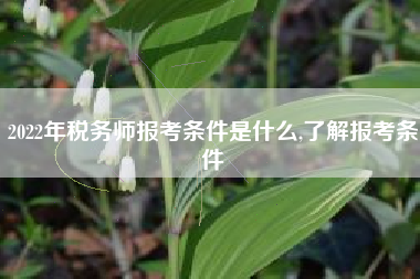 2022年税务师报考条件是什么,了解报考条件