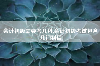 会计初级需要考几科,会计初级考试包含几门科目