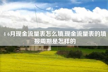 4 6月现金流量表怎么填,现金流量表的填报周期是怎样的