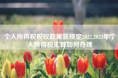 个人所得税税收政策新规定2022,2023年个人所得税汇算如何办理