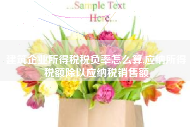 建筑企业所得税税负率怎么算,应纳所得税额除以应纳税销售额