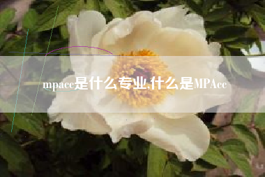 mpacc是什么专业,什么是MPAcc