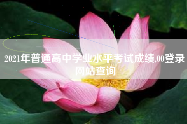 2021年普通高中学业水平考试成绩,00登录网站查询