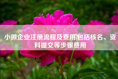 小微企业注册流程及费用,包括核名、资料提交等步骤费用
