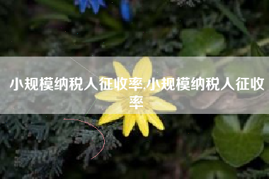 小规模纳税人征收率,小规模纳税人征收率