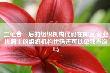 三证合一后的组织机构代码在哪里,营业执照上的组织机构代码还可以单独查询吗