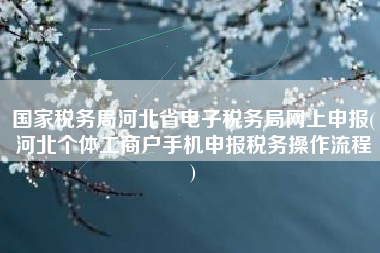 国家税务局河北省电子税务局网上申报(河北个体工商户手机申报税务操作流程
)