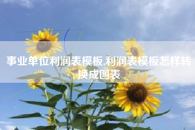 事业单位利润表模板,利润表模板怎样转换成图表