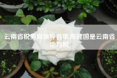 云南省税务局领导名单,陈建国是云南省地方税