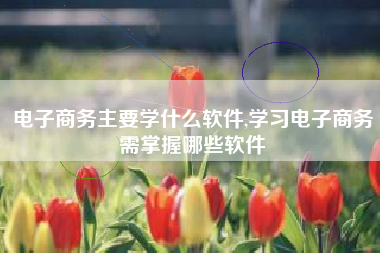电子商务主要学什么软件,学习电子商务需掌握哪些软件