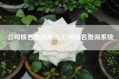 公司核名查询系统,公司核名查询系统