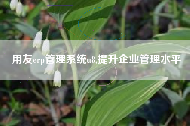 用友erp管理系统u8,提升企业管理水平