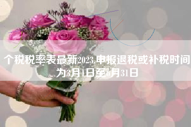 个税税率表最新2023,申报退税或补税时间为3月1日至6月31日