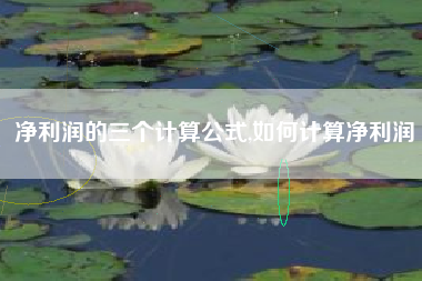 净利润的三个计算公式,如何计算净利润