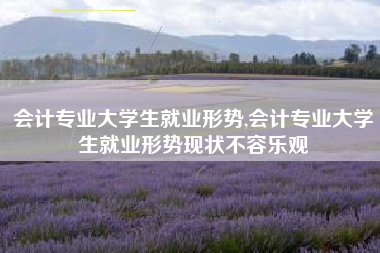 会计专业大学生就业形势,会计专业大学生就业形势现状不容乐观