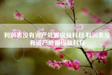 利润表没有资产处置损益科目,利润表没有资产处置损益科目