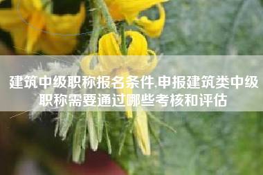 建筑中级职称报名条件,申报建筑类中级职称需要通过哪些考核和评估