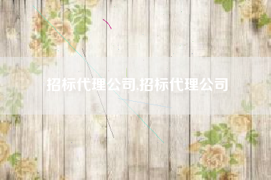 招标代理公司,招标代理公司