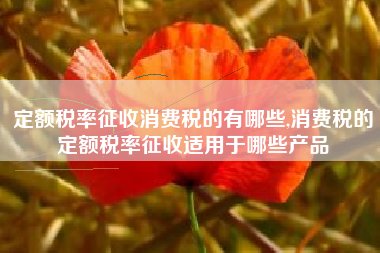 定额税率征收消费税的有哪些,消费税的定额税率征收适用于哪些产品