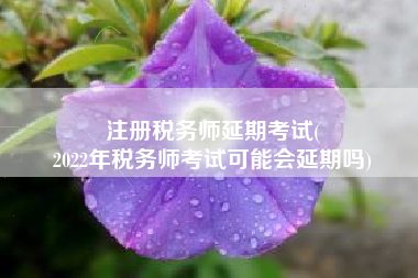 注册税务师延期考试(
2022年税务师考试可能会延期吗)