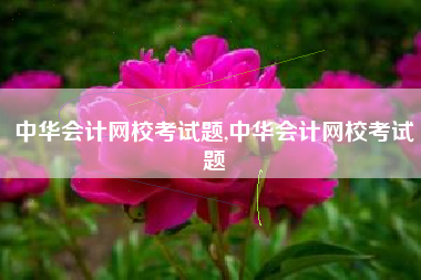 中华会计网校考试题,中华会计网校考试题