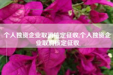 个人独资企业取消核定征收,个人独资企业取消核定征收