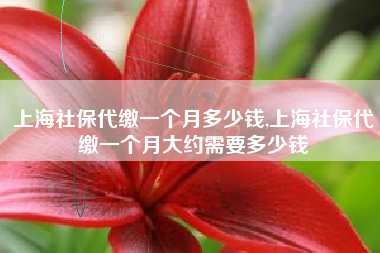 上海社保代缴一个月多少钱,上海社保代缴一个月大约需要多少钱
