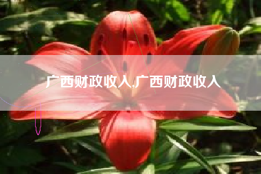 广西财政收入,广西财政收入