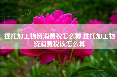 委托加工物资消费税怎么算,委托加工物资消费税该怎么算