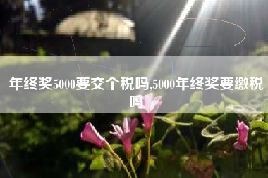 年终奖5000要交个税吗,5000年终奖要缴税吗