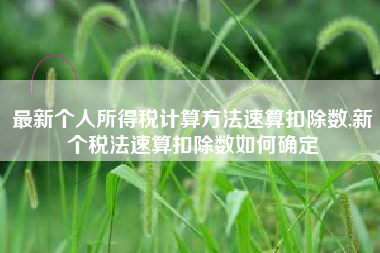 最新个人所得税计算方法速算扣除数,新个税法速算扣除数如何确定
