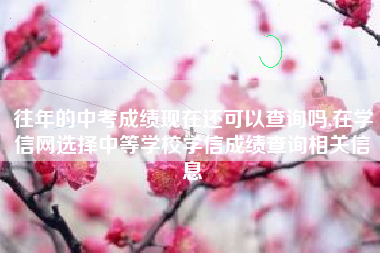 往年的中考成绩现在还可以查询吗,在学信网选择中等学校学信成绩查询相关信息
