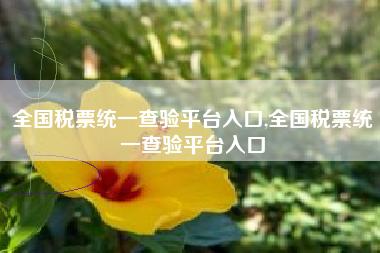 全国税票统一查验平台入口,全国税票统一查验平台入口