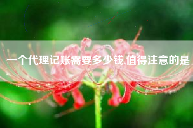 一个代理记账需要多少钱,值得注意的是