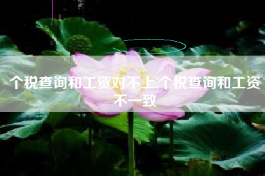 个税查询和工资对不上,个税查询和工资不一致